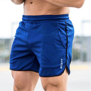 2024 NEW Summer Running Shorts Men Sports Jogging Fitness Shorts Quick Dry Mens Gym Men Shorts Sport gyms Short Pants men